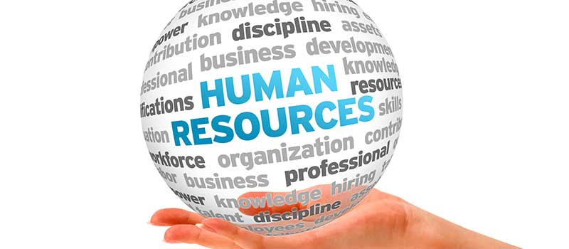 HR main 2 - خدمات عالی منابع انسانی